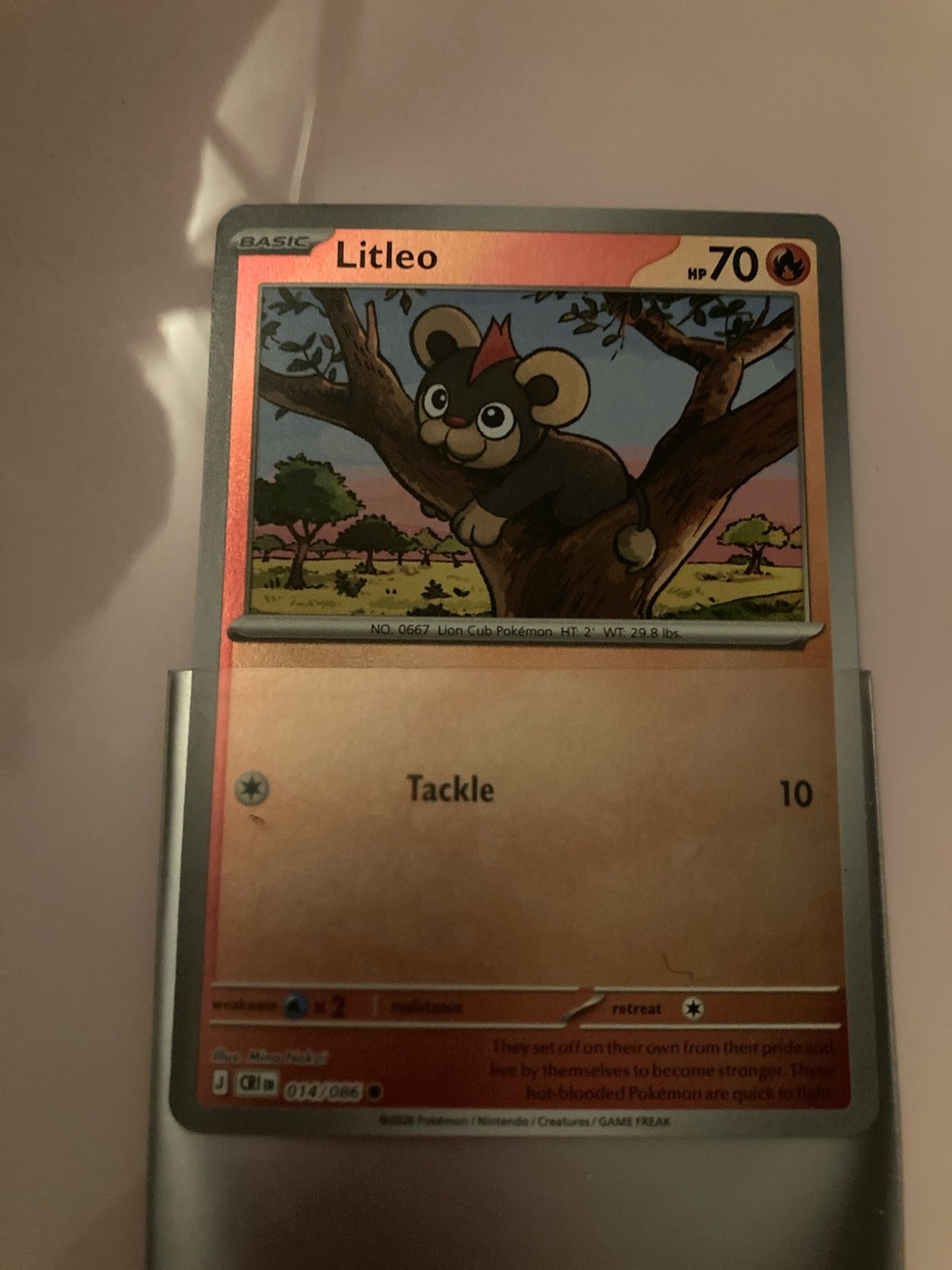 Pokemon Litleo Trading Card – Orange and Brown Artwork